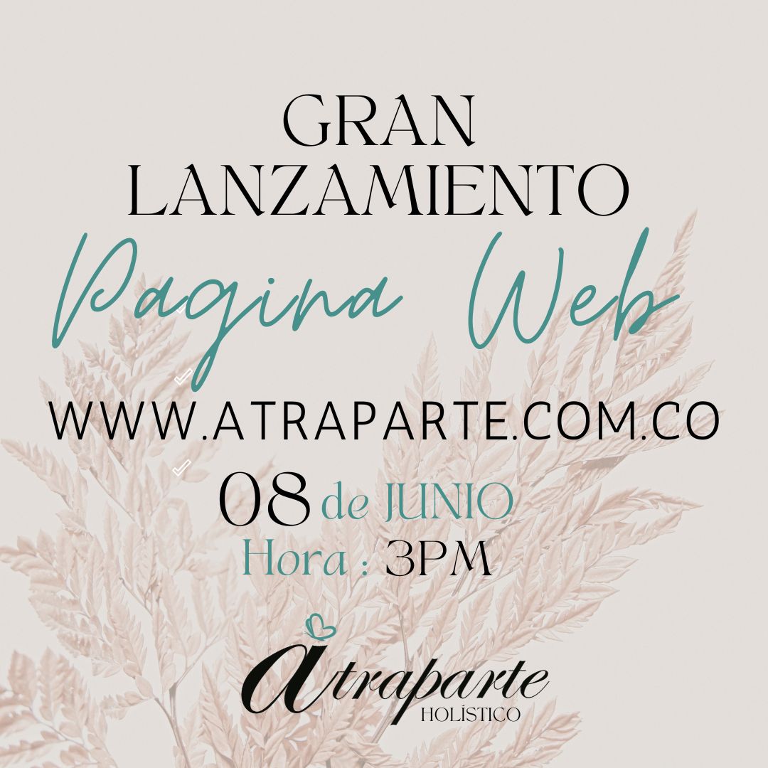 Inicio
